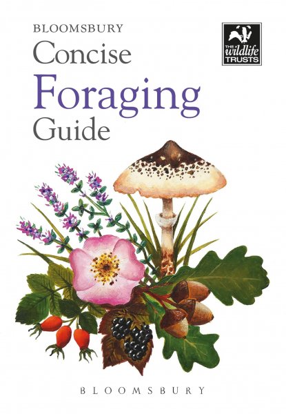 Concise Foraging Guide – Militarymart